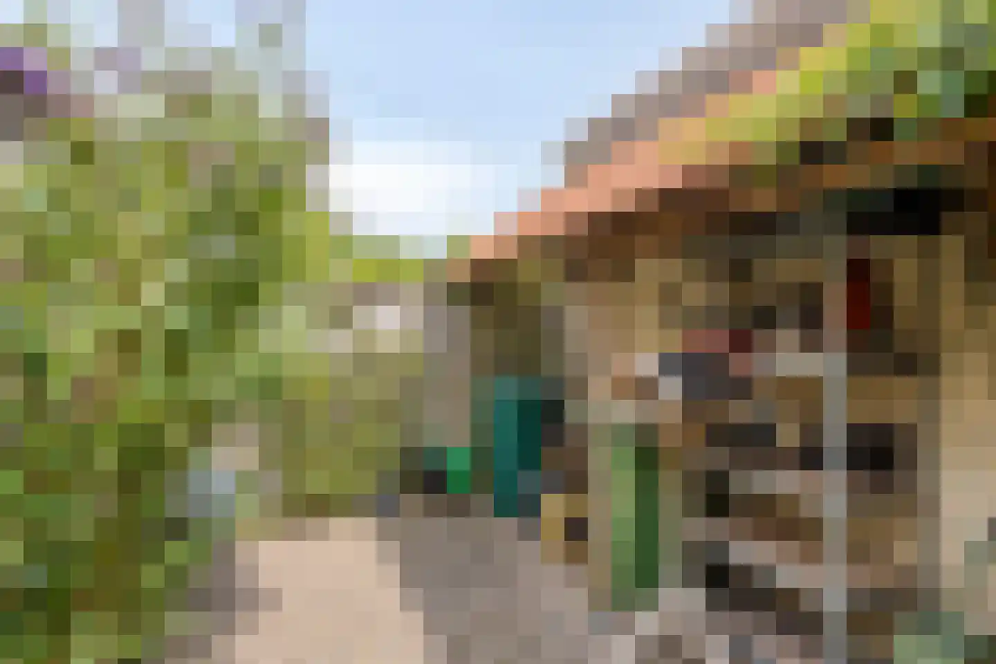 Mechelenstraat 17 Hengelo thumbnail 37