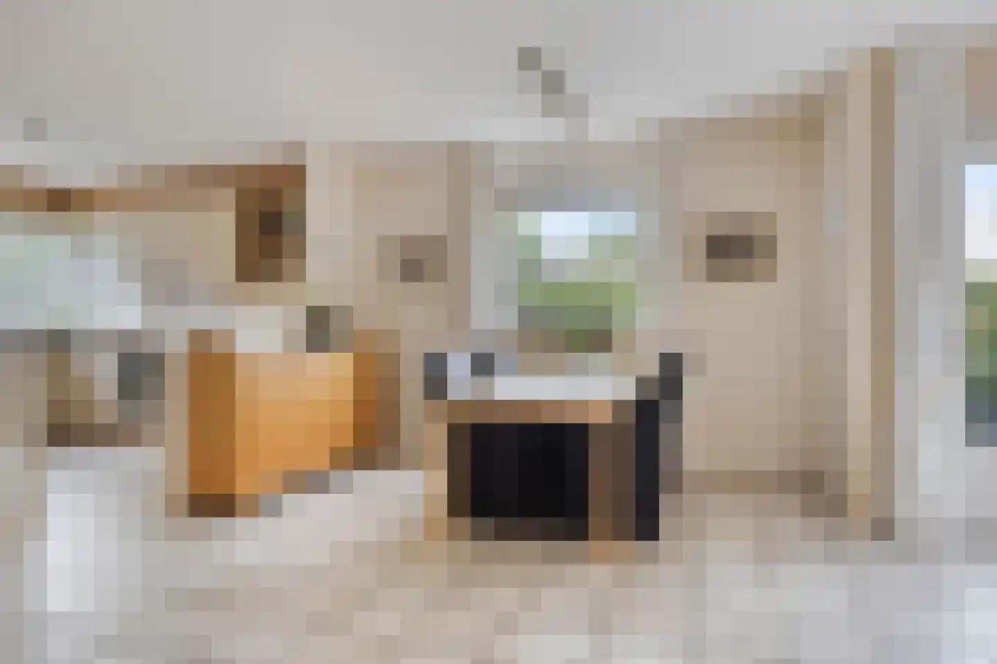 Mechelenstraat 17 Hengelo thumbnail 4
