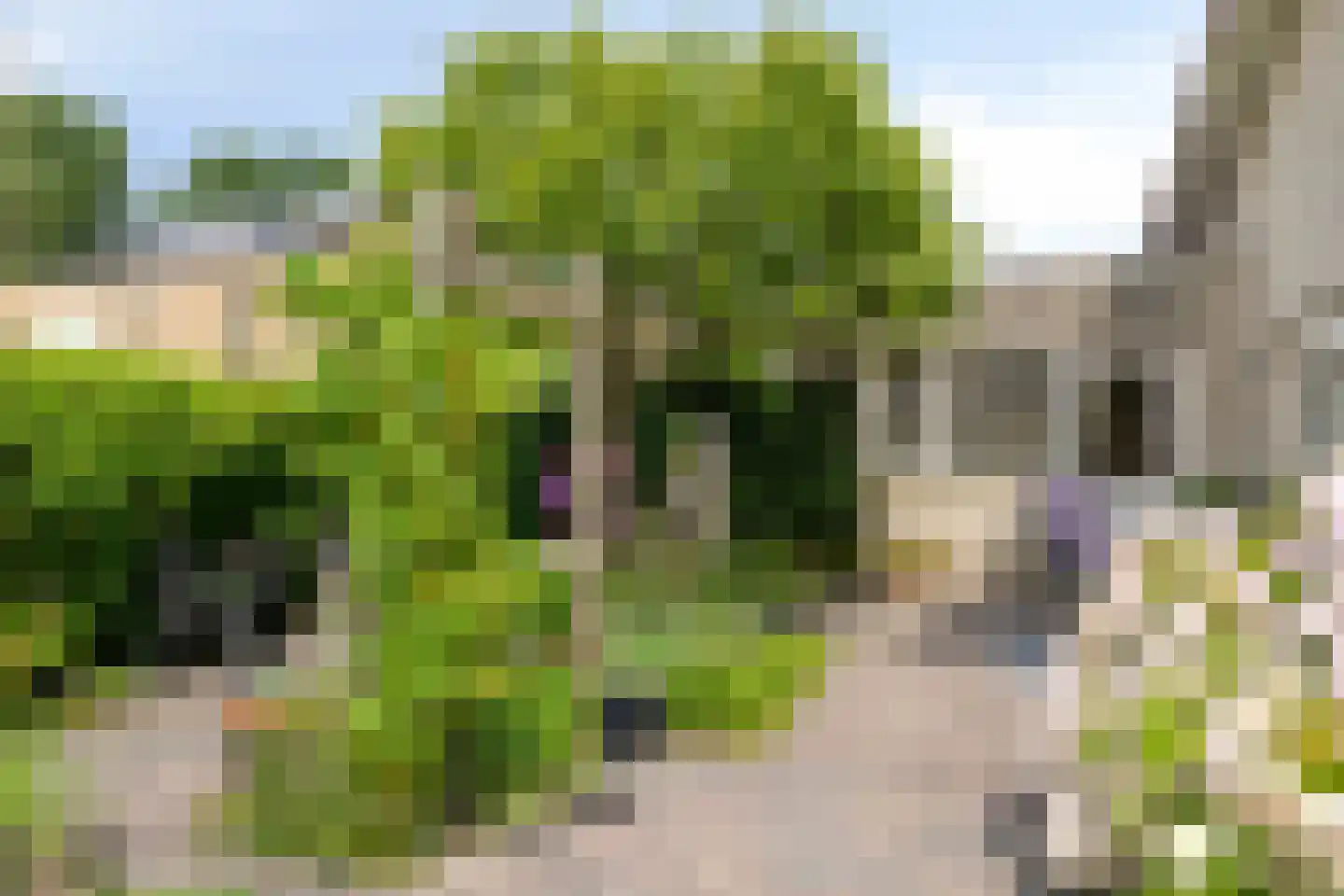 Mechelenstraat 17 Hengelo thumbnail 7