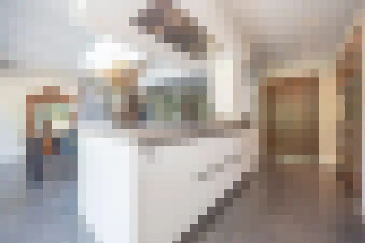 Mechelenstraat 3 Waalwijk thumbnail 14