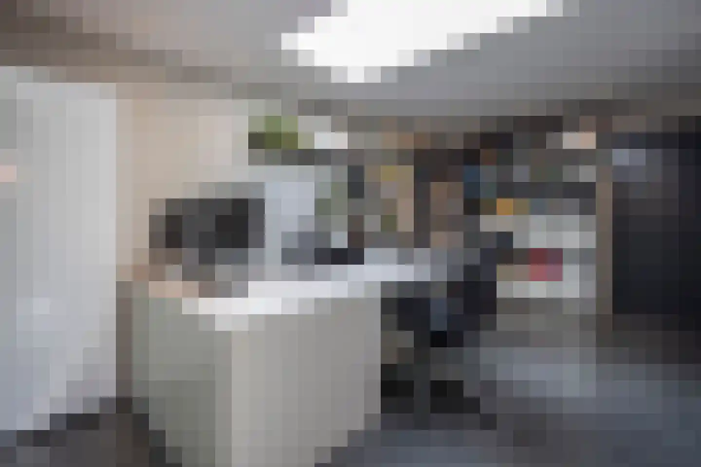 Mechelenstraat 3 Waalwijk thumbnail 21