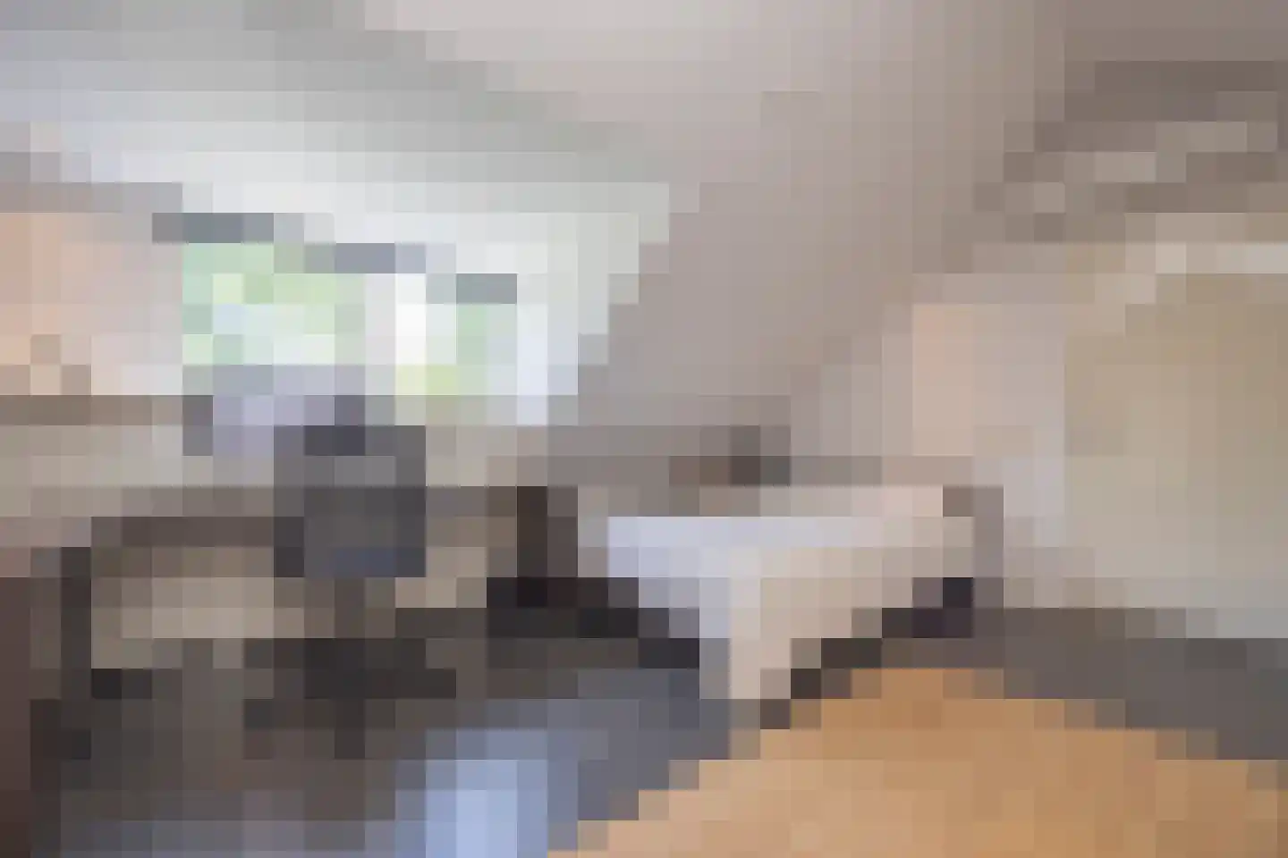Mechelenstraat 3 Waalwijk thumbnail 39