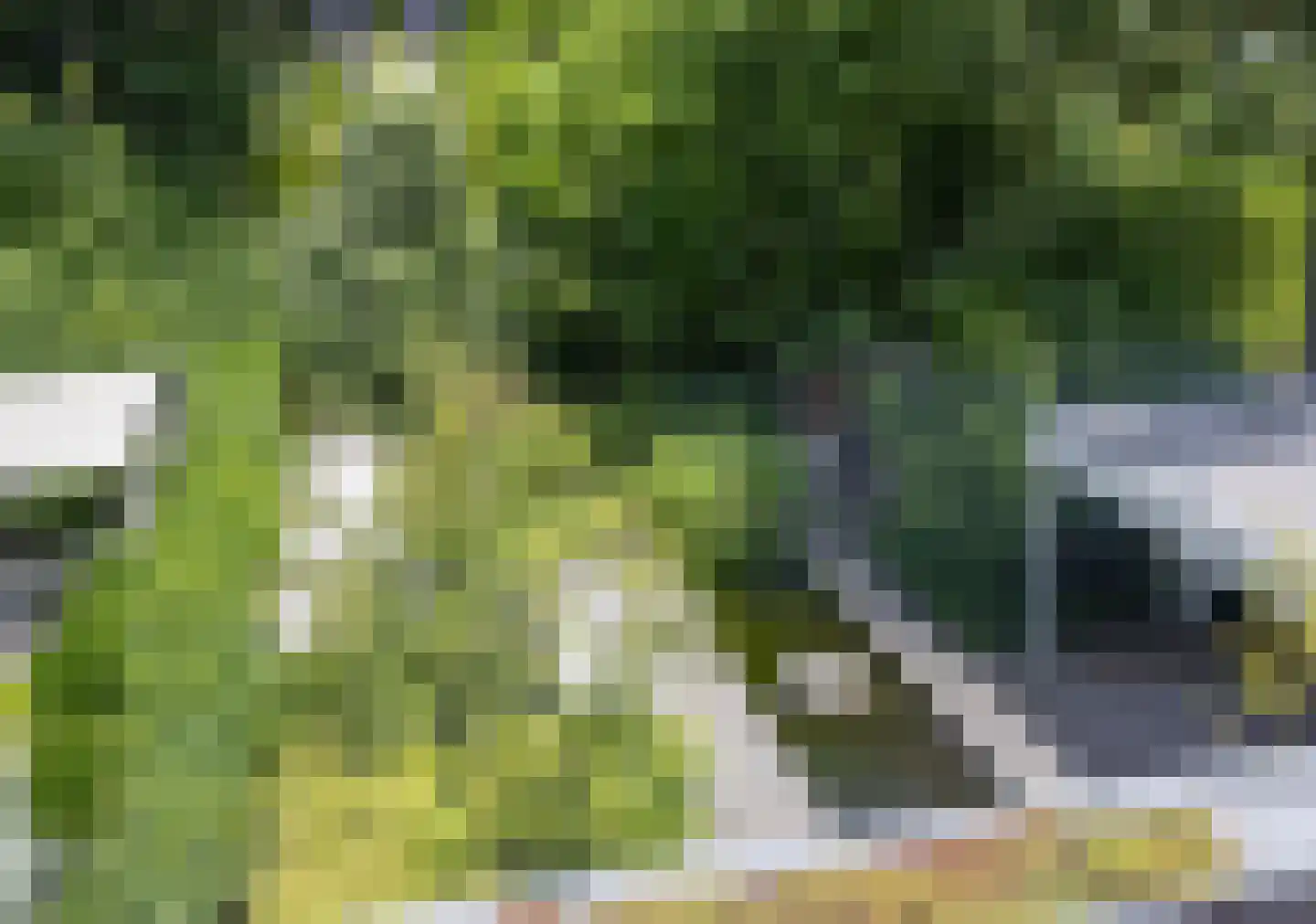 Mechelenstraat 3 Waalwijk thumbnail 42