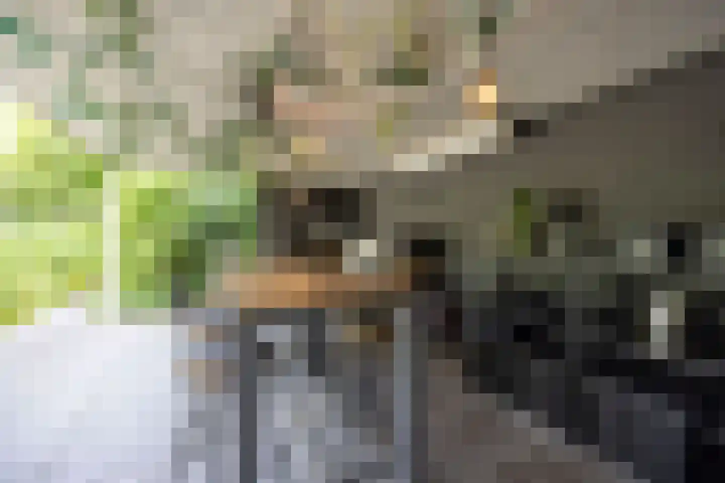 Mechelenstraat 3 Waalwijk thumbnail 45