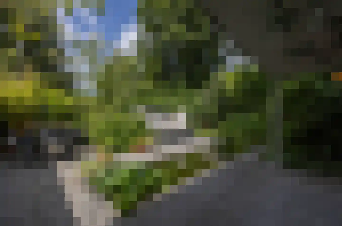 Mechelenstraat 3 Waalwijk thumbnail 46