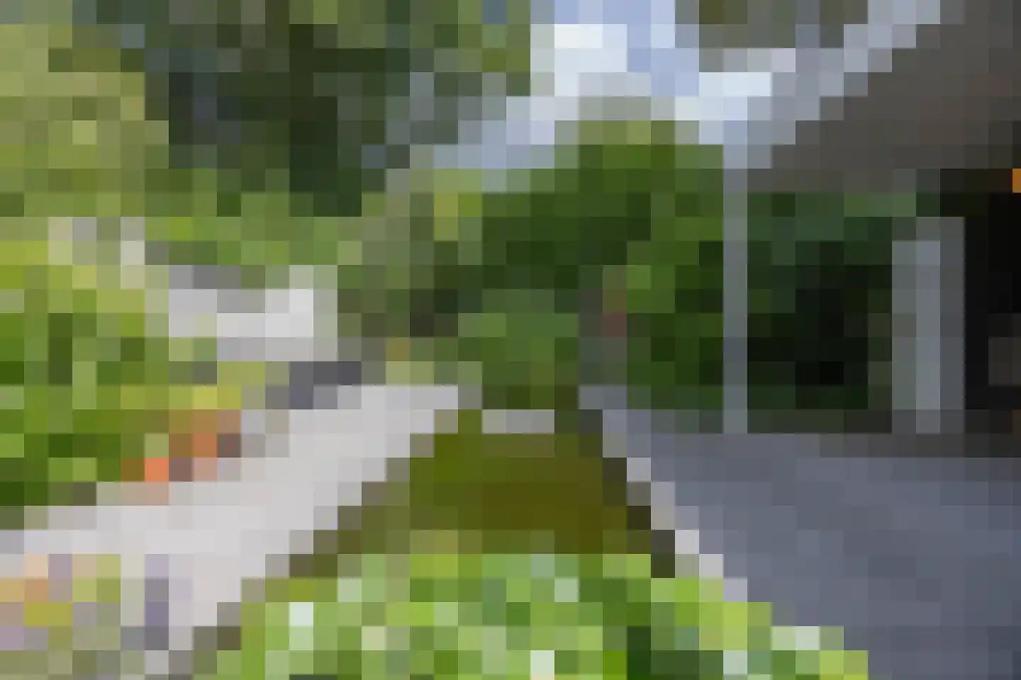Mechelenstraat 3 Waalwijk thumbnail 47