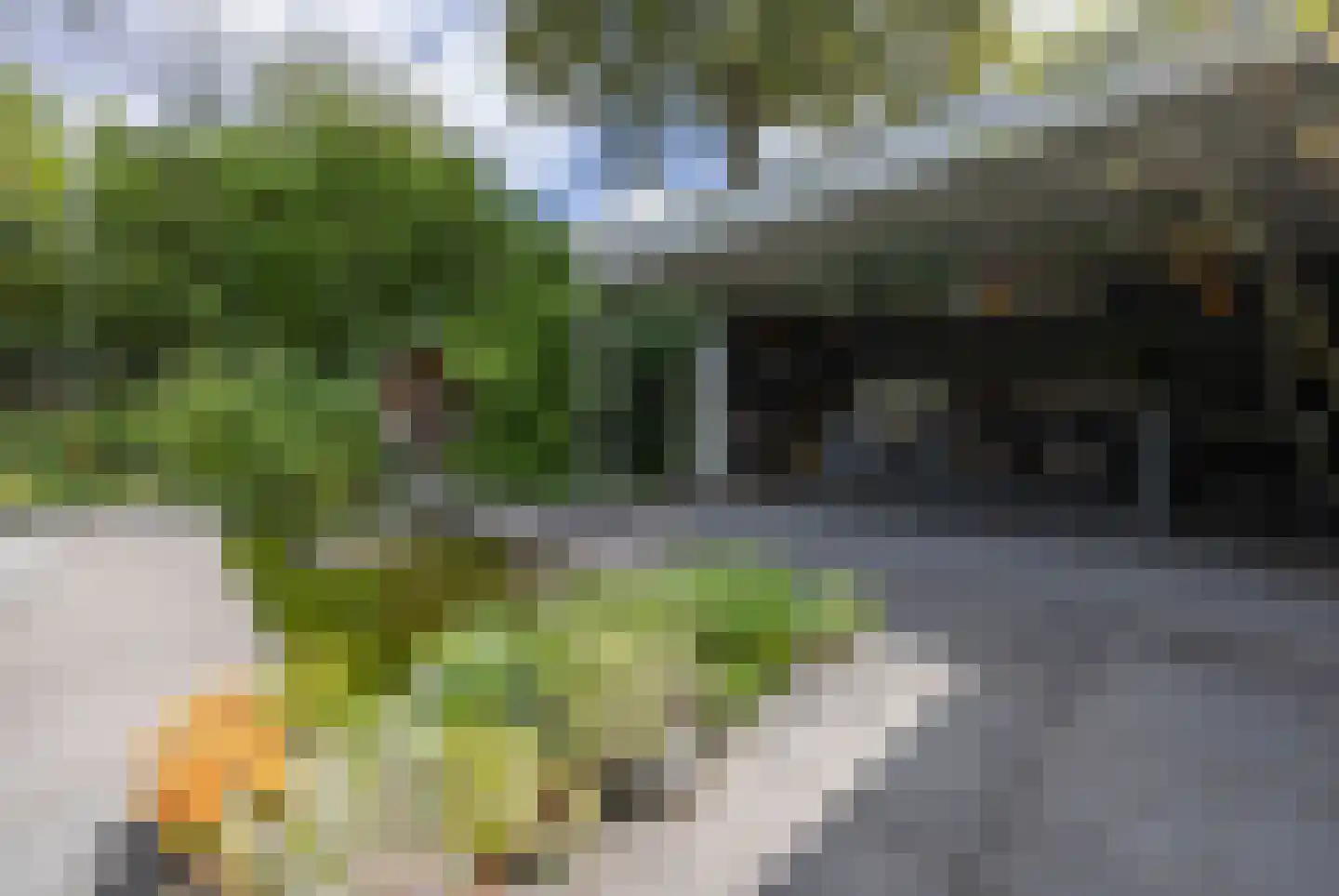 Mechelenstraat 3 Waalwijk thumbnail 48