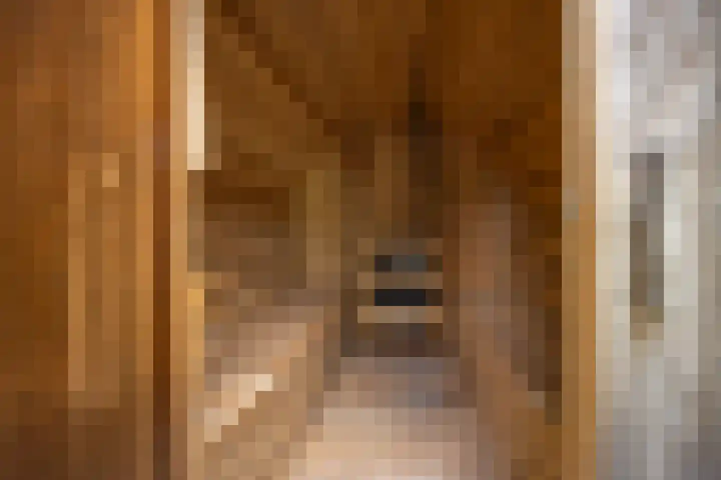 Mechelenstraat 3 Waalwijk thumbnail 52