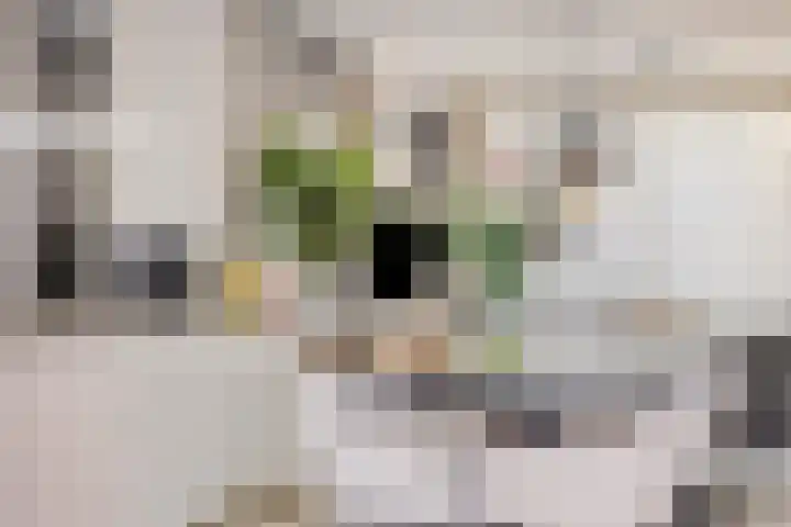 Mechelerbank 20 Maastricht thumbnail 10