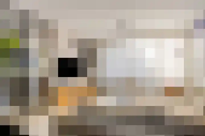 Mechelerbank 20 Maastricht thumbnail 7