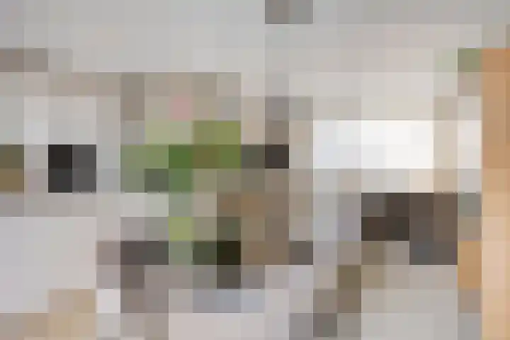 Mechelerbank 20 Maastricht thumbnail 8