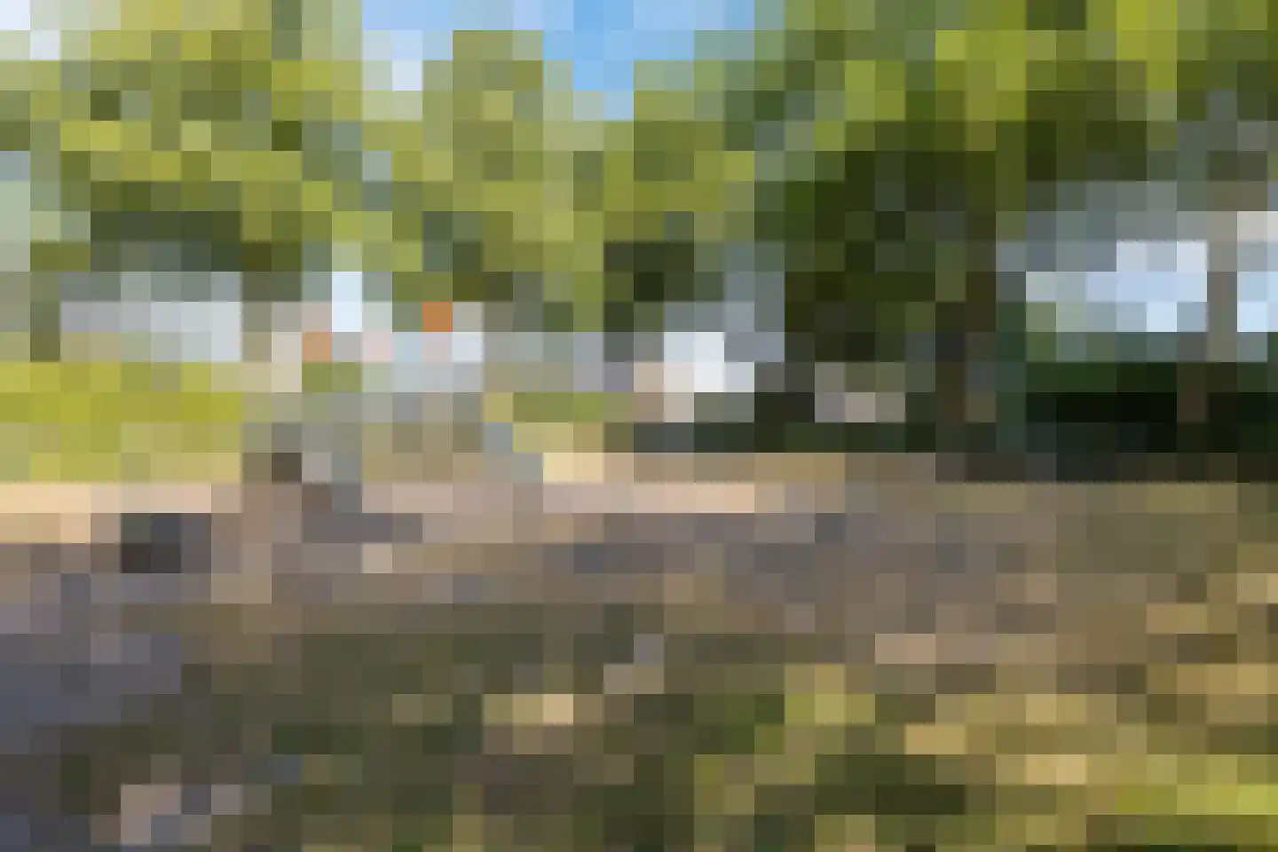 Mechelinenblok 14 Bergen op Zoom thumbnail 35