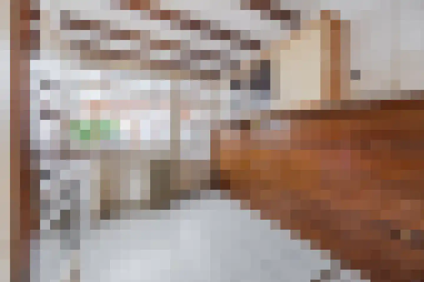 Mechelinenblok 14 Bergen op Zoom thumbnail 7