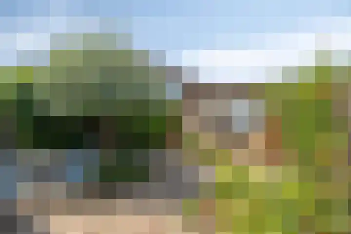 Mechelinenblok 16 Bergen op Zoom thumbnail 18