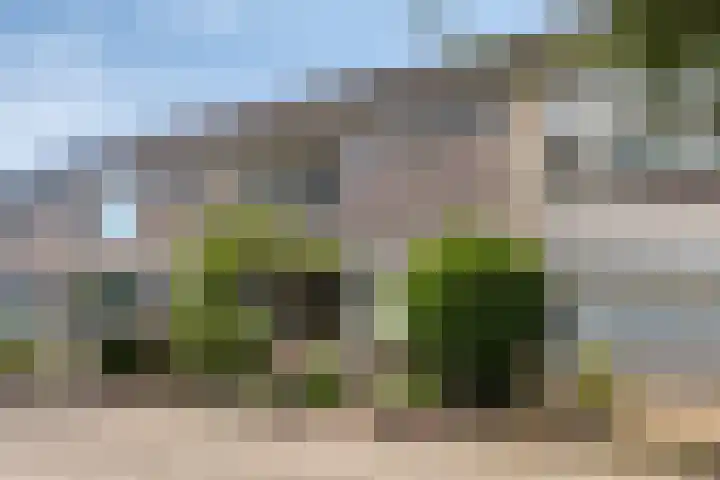 Mechelinenblok 16 Bergen op Zoom thumbnail 22