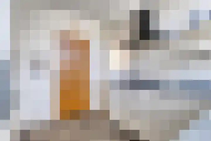 Mechelinenblok 16 Bergen op Zoom thumbnail 5