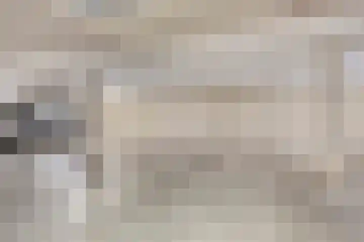 Mechtildisstraat 2 18 Tilburg thumbnail 21