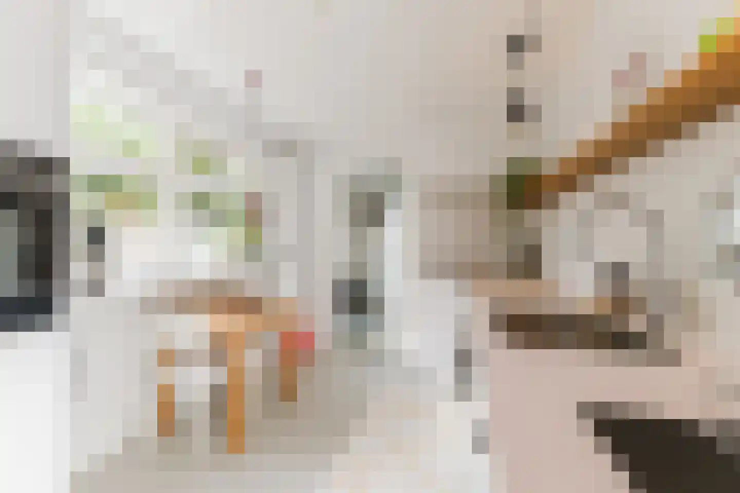 Mechtildisstraat 8 Tilburg thumbnail 11