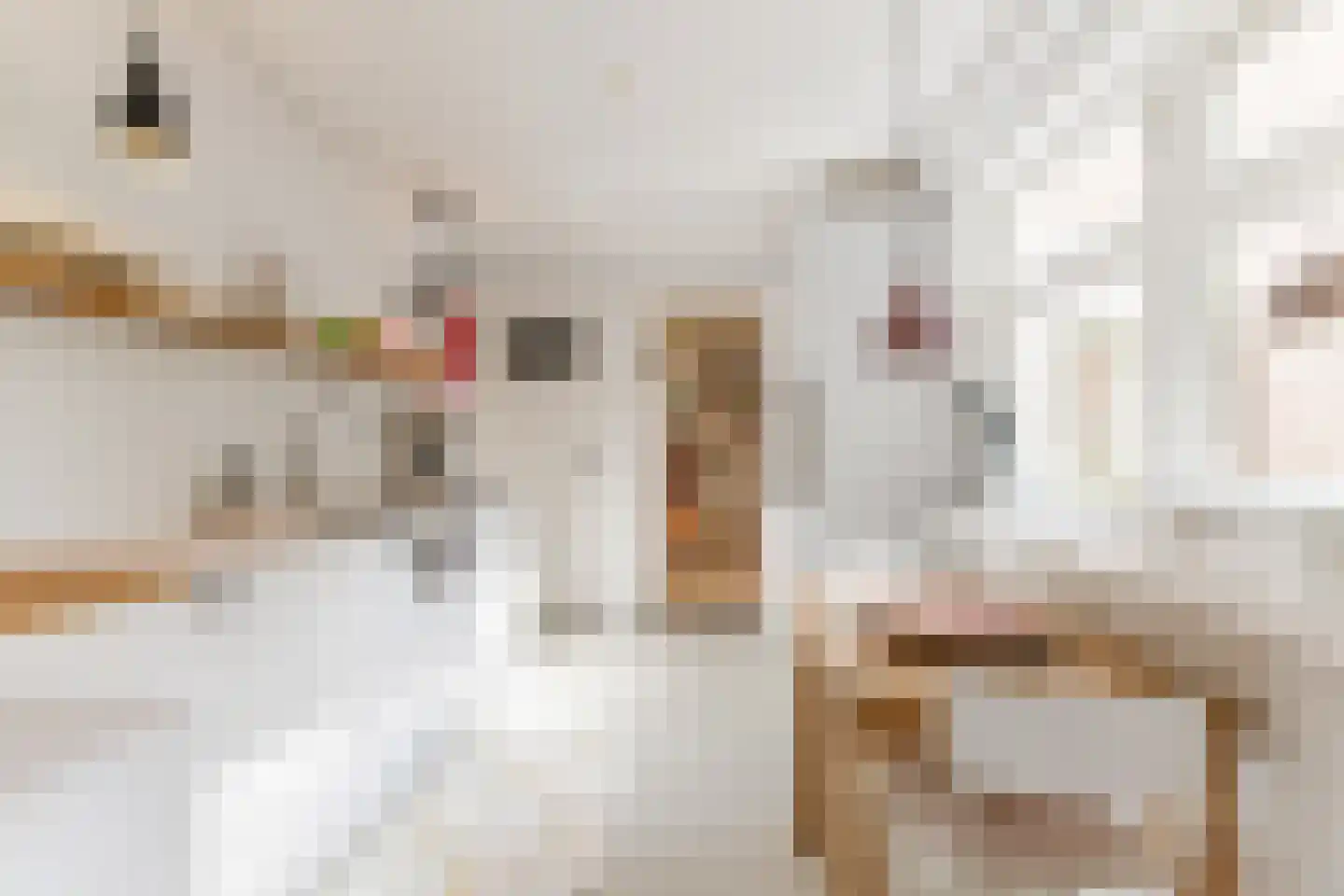 Mechtildisstraat 8 Tilburg thumbnail 12