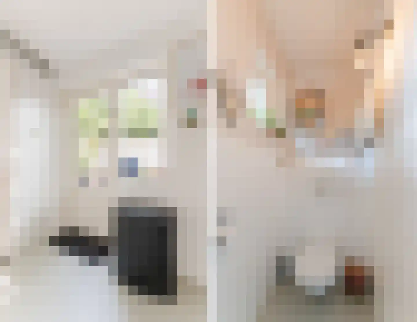 Mechtildisstraat 8 Tilburg thumbnail 14