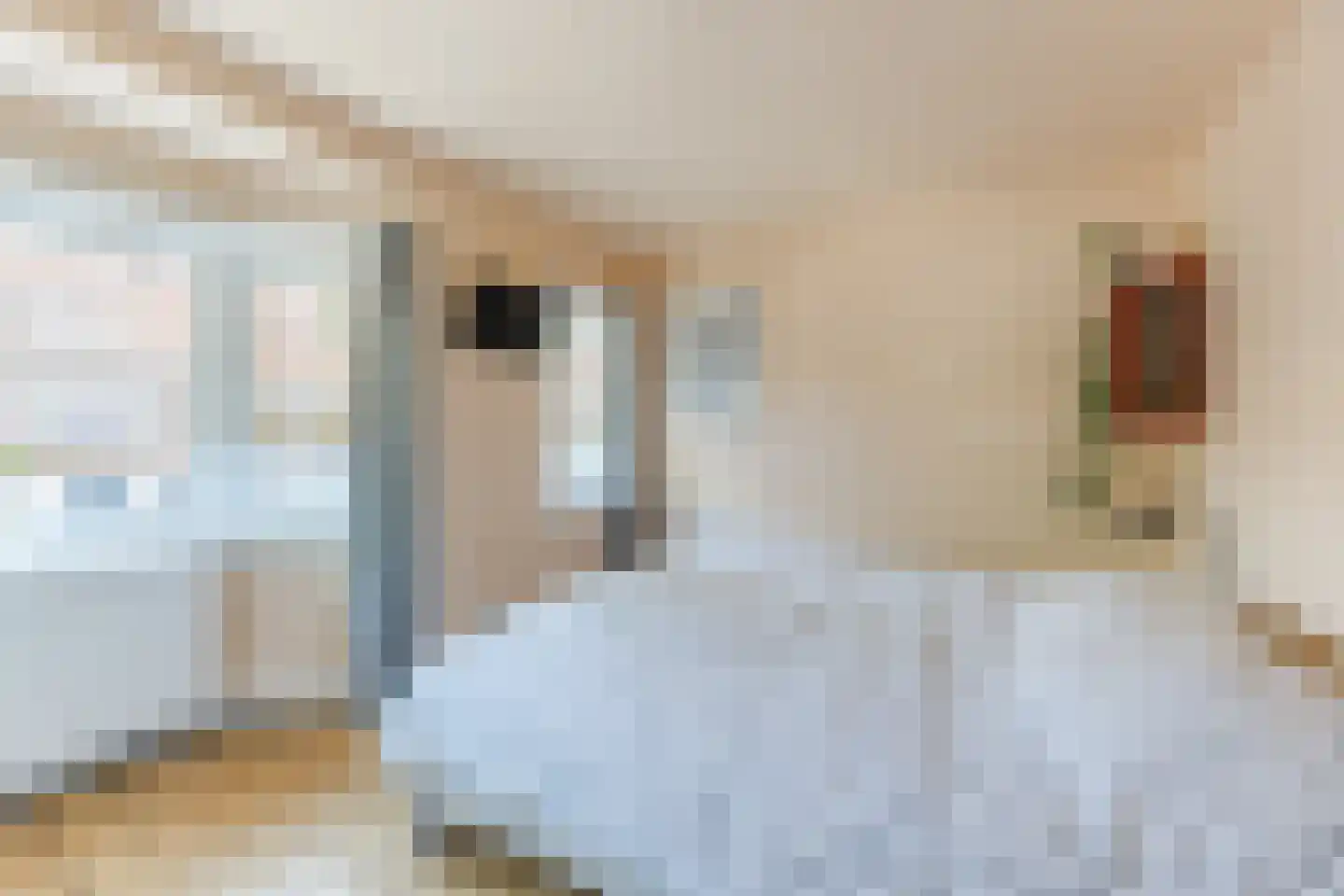 Mechtildisstraat 8 Tilburg thumbnail 18