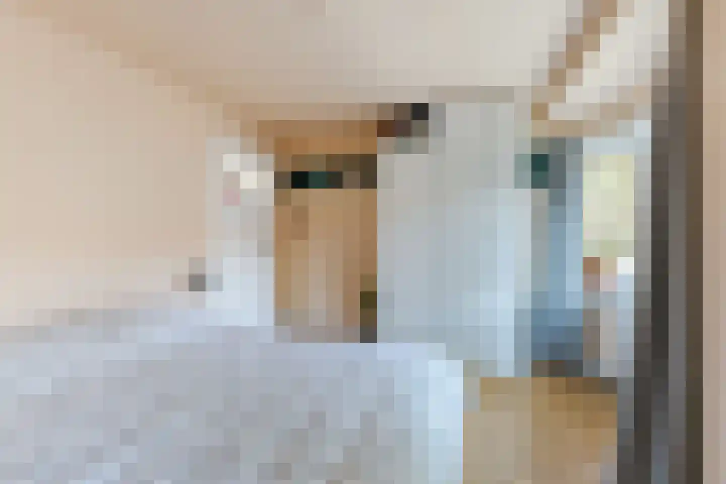 Mechtildisstraat 8 Tilburg thumbnail 19