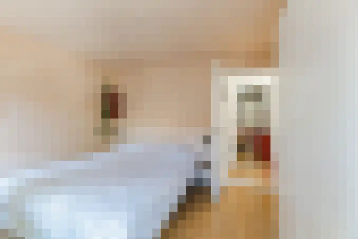Mechtildisstraat 8 Tilburg thumbnail 20