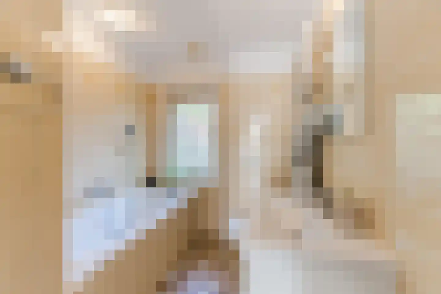 Mechtildisstraat 8 Tilburg thumbnail 24