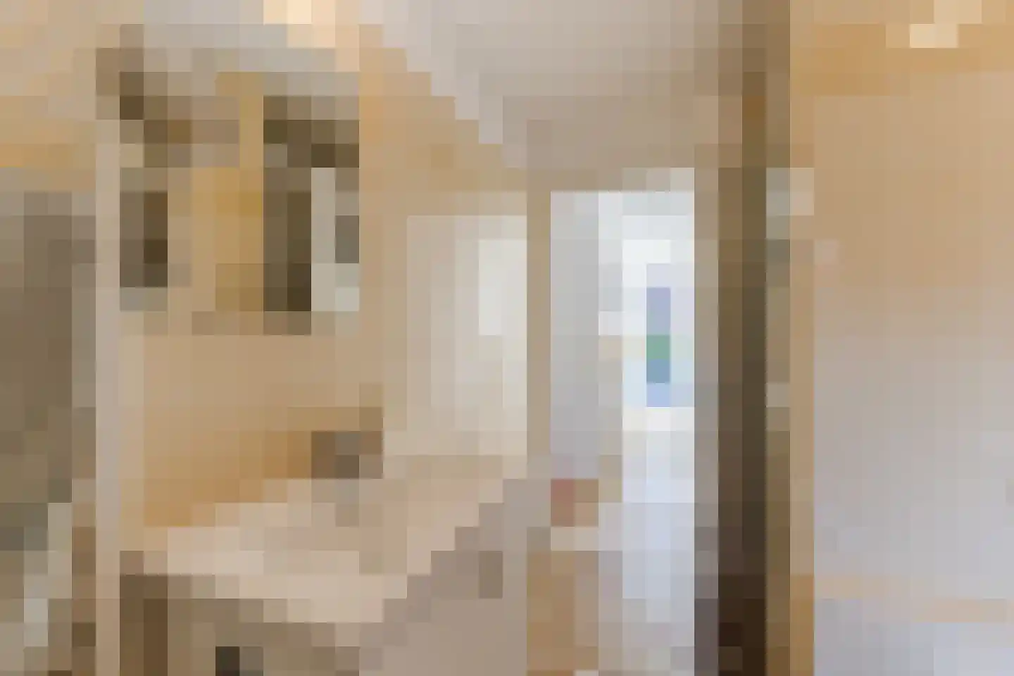 Mechtildisstraat 8 Tilburg thumbnail 26