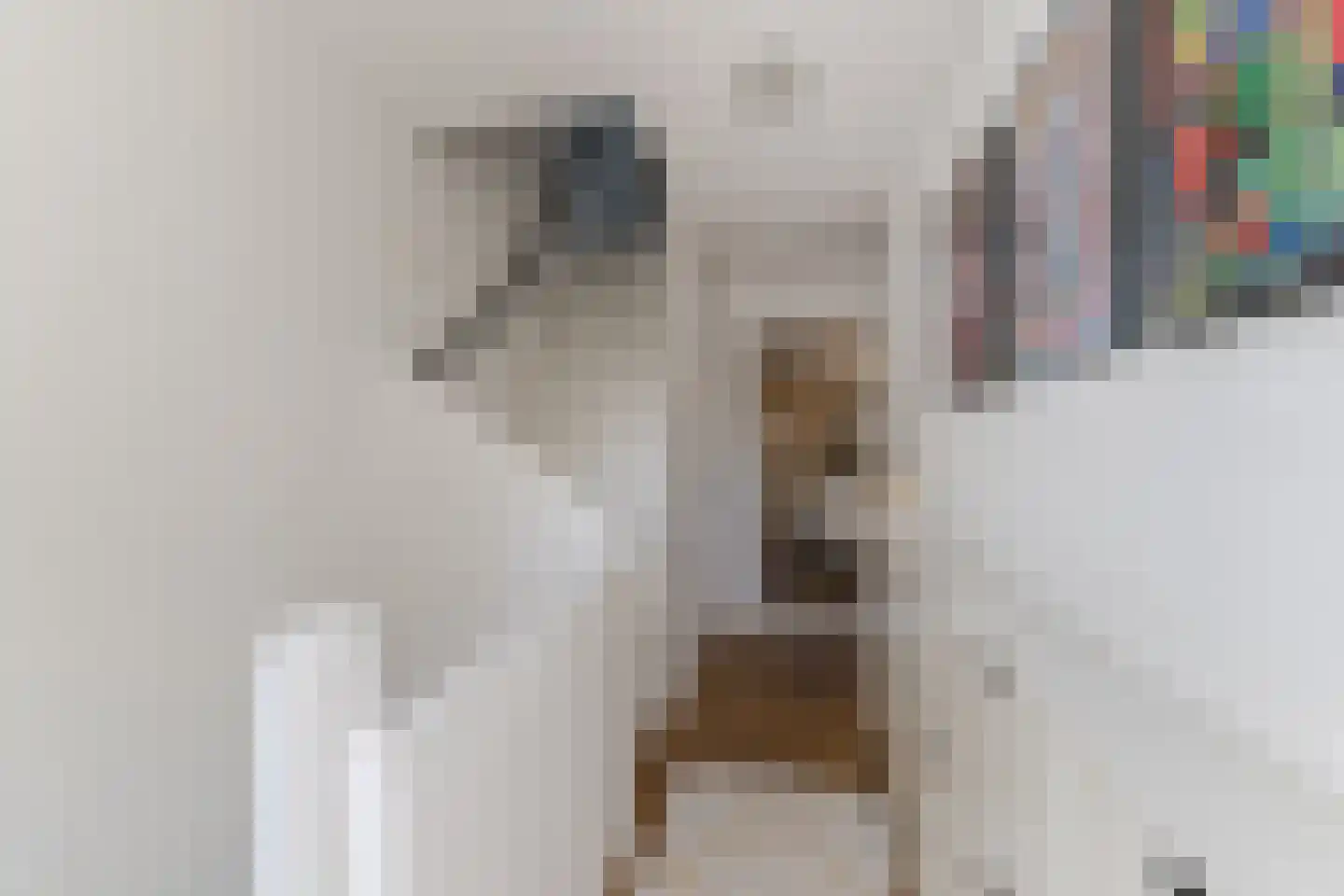 Mechtildisstraat 8 Tilburg thumbnail 32