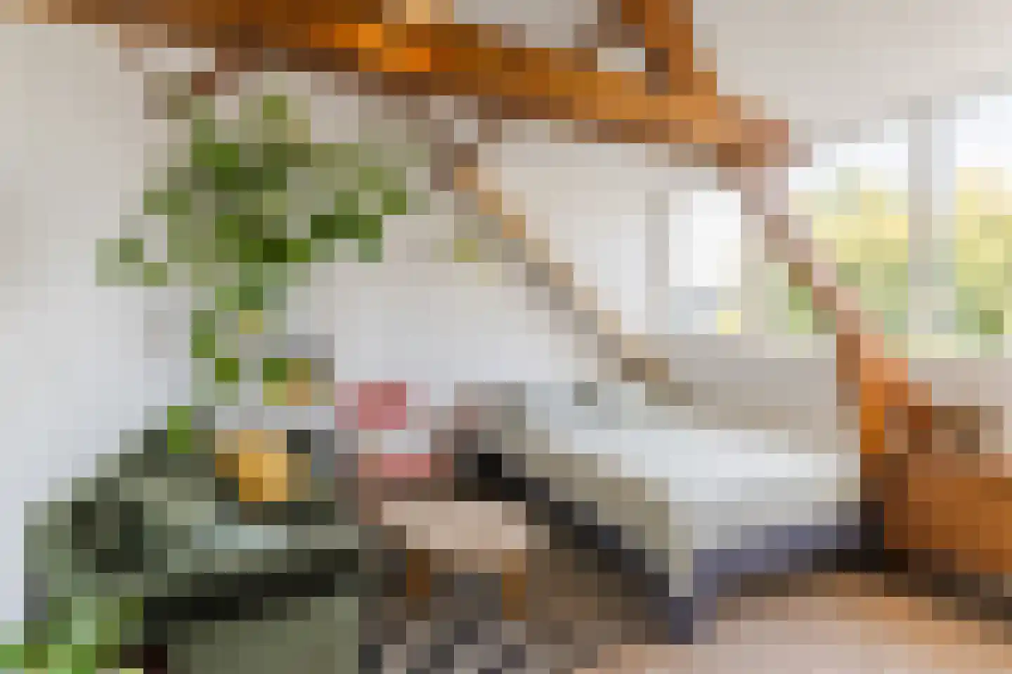 Mechtildisstraat 8 Tilburg thumbnail 35