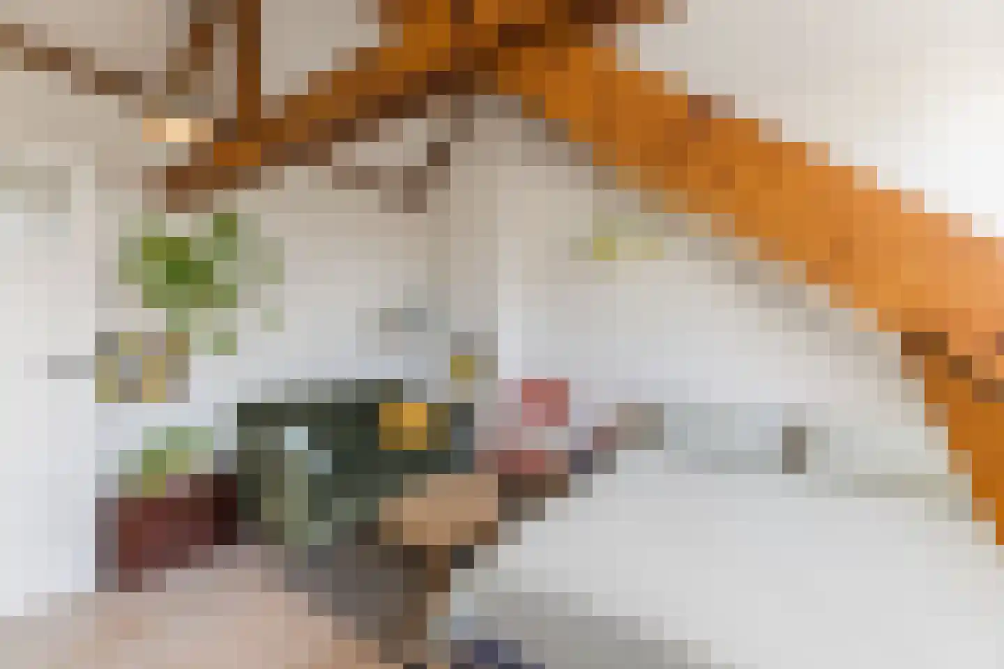 Mechtildisstraat 8 Tilburg thumbnail 36