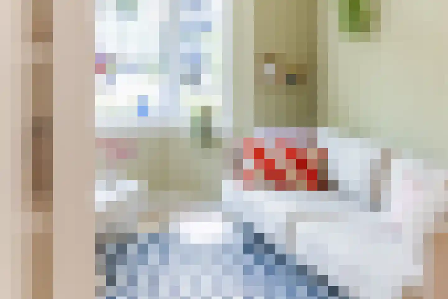 Mechtildisstraat 8 Tilburg thumbnail 4