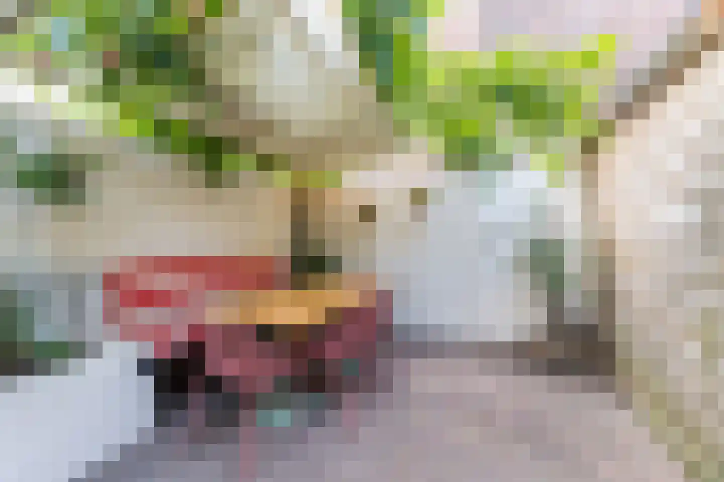 Mechtildisstraat 8 Tilburg thumbnail 40