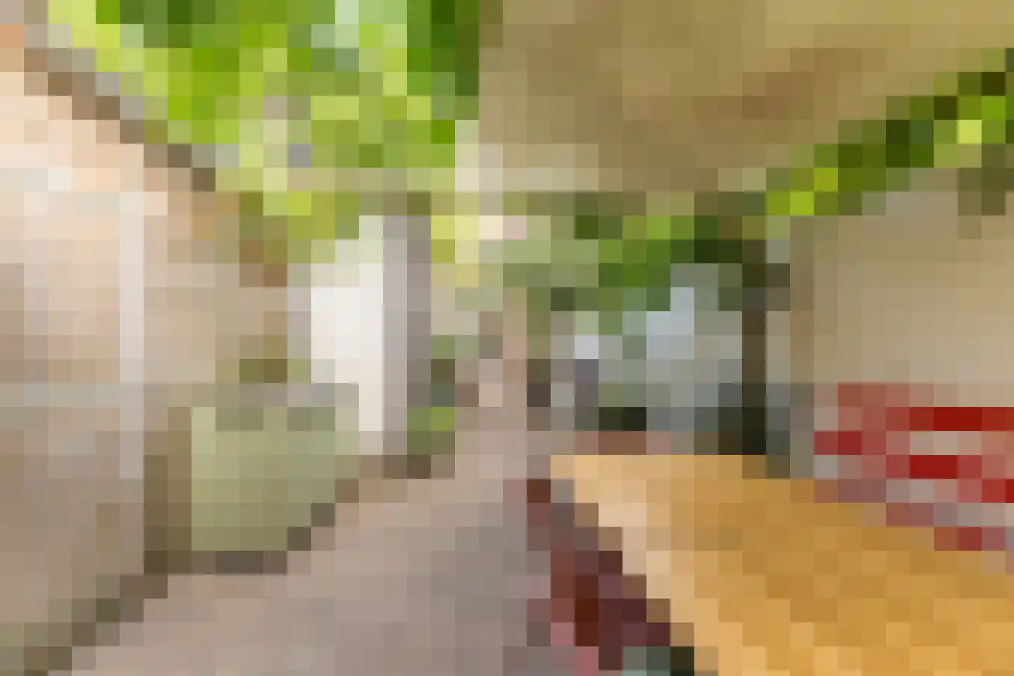 Mechtildisstraat 8 Tilburg thumbnail 41