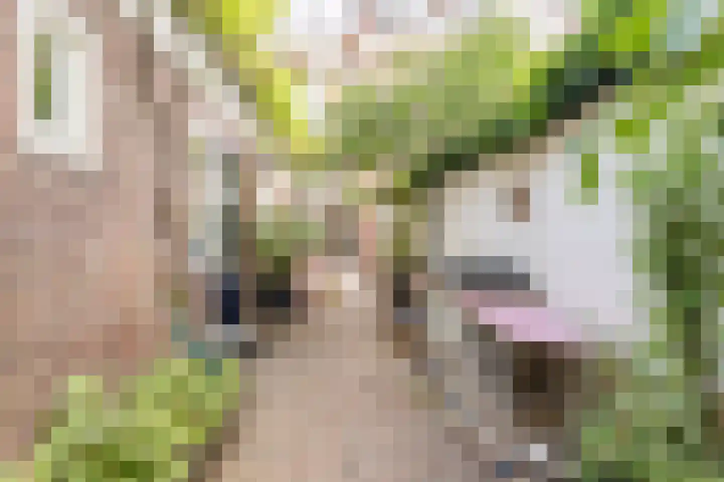 Mechtildisstraat 8 Tilburg thumbnail 42