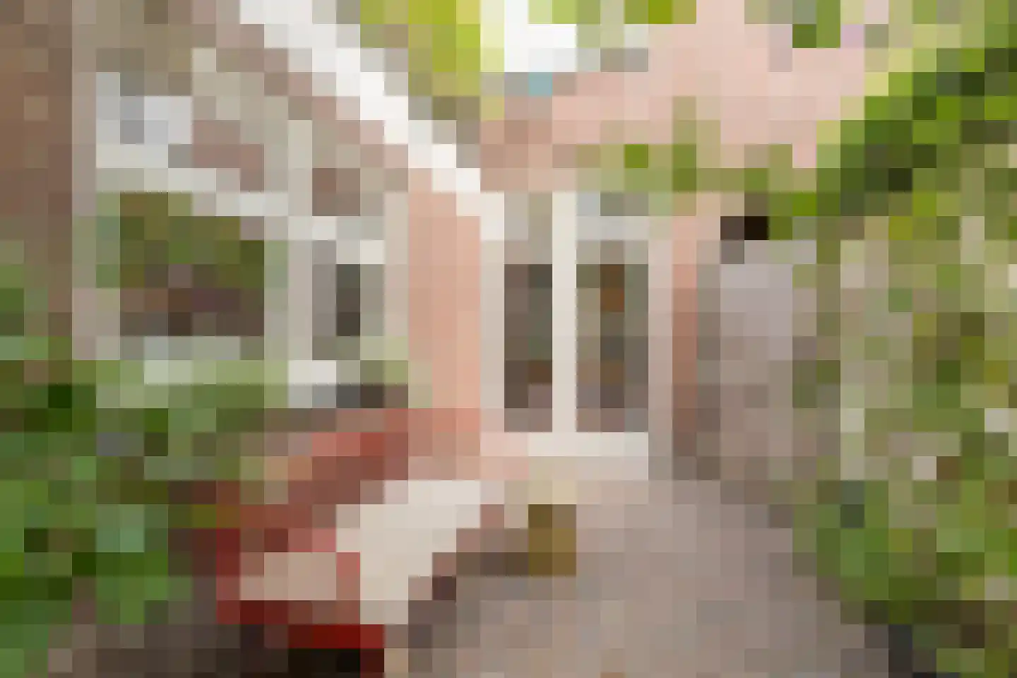 Mechtildisstraat 8 Tilburg thumbnail 43