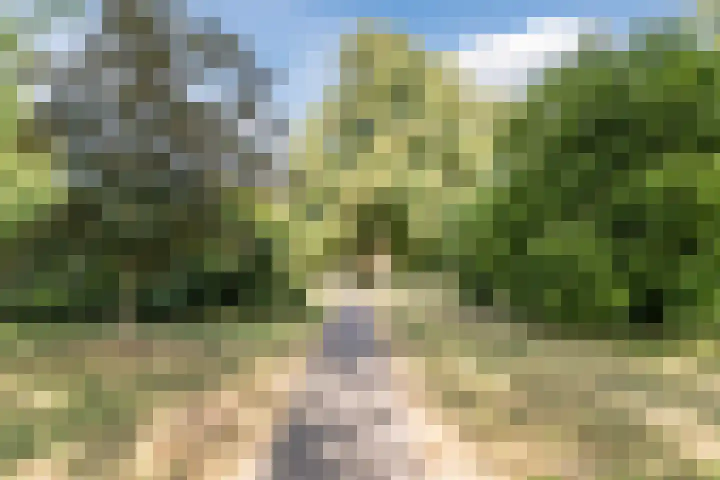 Mechtildisstraat 8 Tilburg thumbnail 47