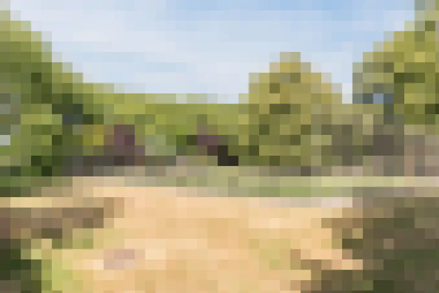 Mechtildisstraat 8 Tilburg thumbnail 48