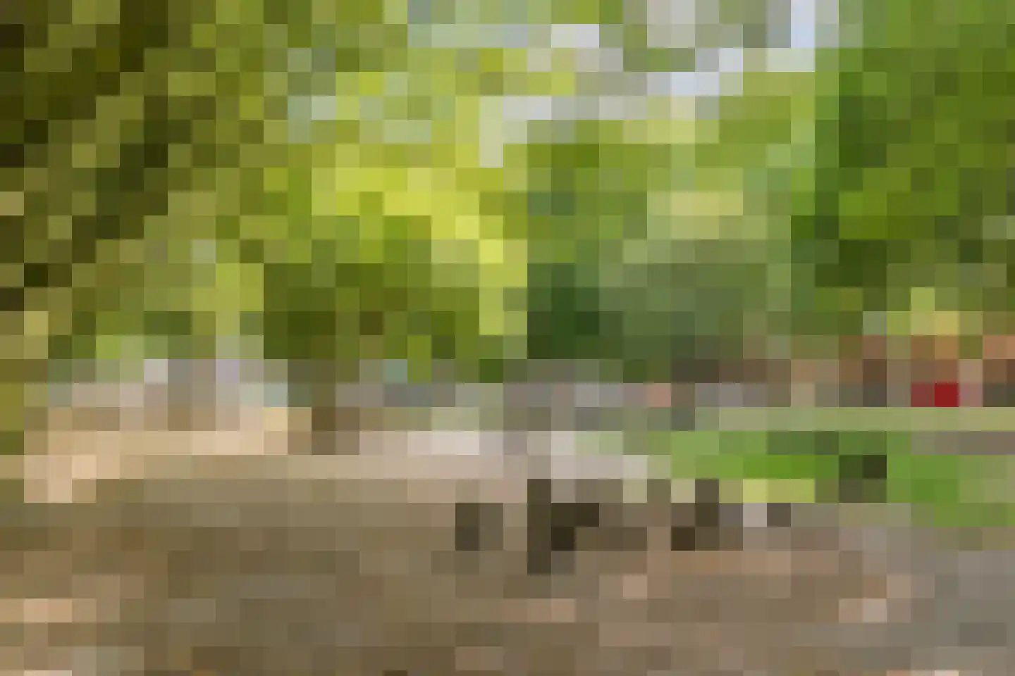 Mechtildisstraat 8 Tilburg thumbnail 49