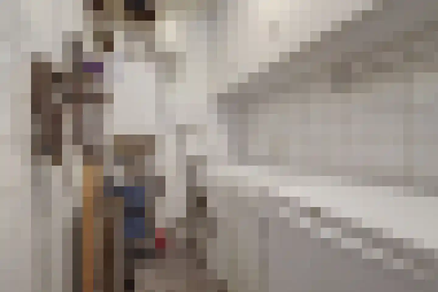 Mecklenburg 13 Huissen thumbnail 38