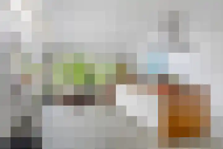 Mecklenburglaan 12 Utrecht thumbnail 12
