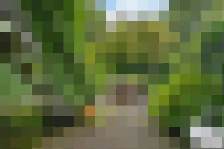 Mecklenburglaan 12 Utrecht thumbnail 16