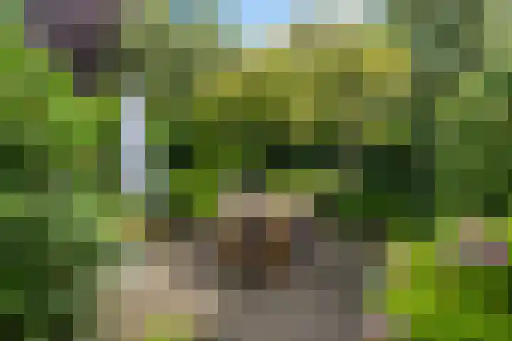 Mecklenburglaan 12 Utrecht thumbnail 17