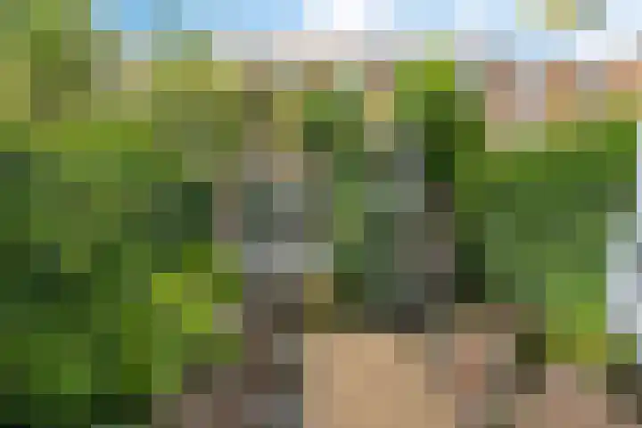 Mecklenburglaan 12 Utrecht thumbnail 18