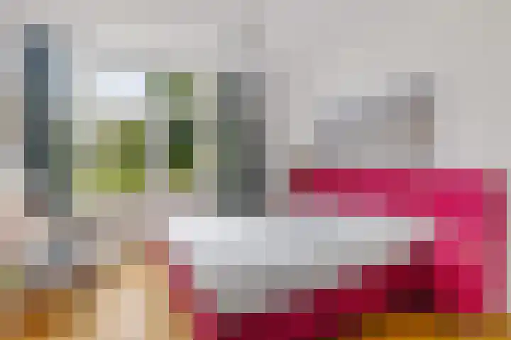 Mecklenburglaan 12 Utrecht thumbnail 20