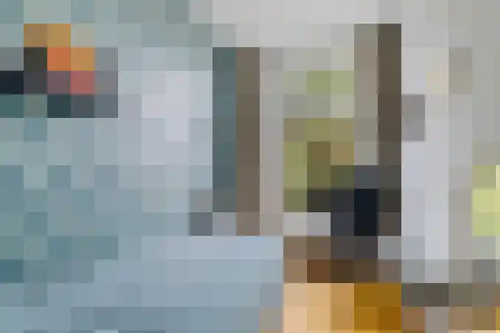 Mecklenburglaan 12 Utrecht thumbnail 22