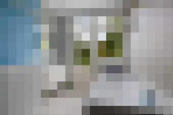 Mecklenburglaan 12 Utrecht thumbnail 24
