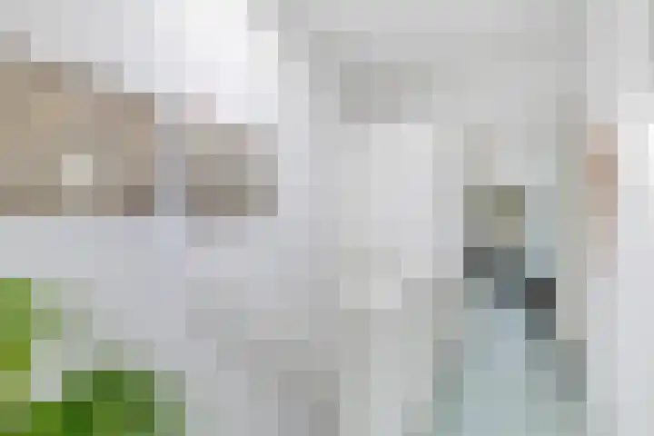 Mecklenburglaan 12 Utrecht thumbnail 28