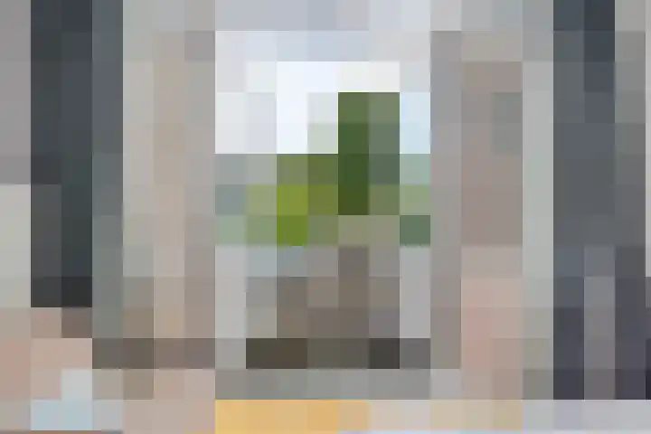 Mecklenburglaan 12 Utrecht thumbnail 32